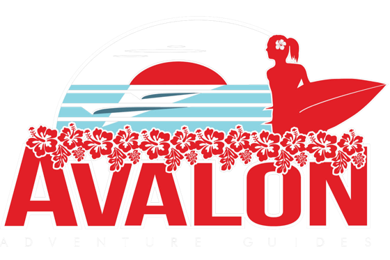 Avalon Adventure Guides